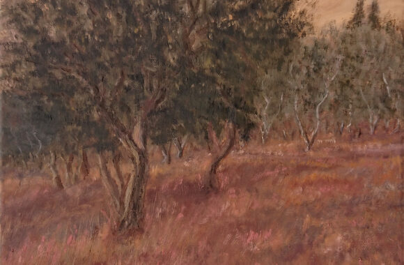 Olive grove at autumn sunset